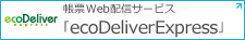 帳票Web配信サービス　eco Deliver Express
